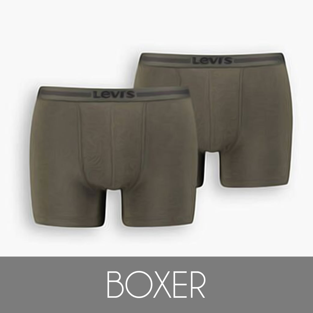 Boxer